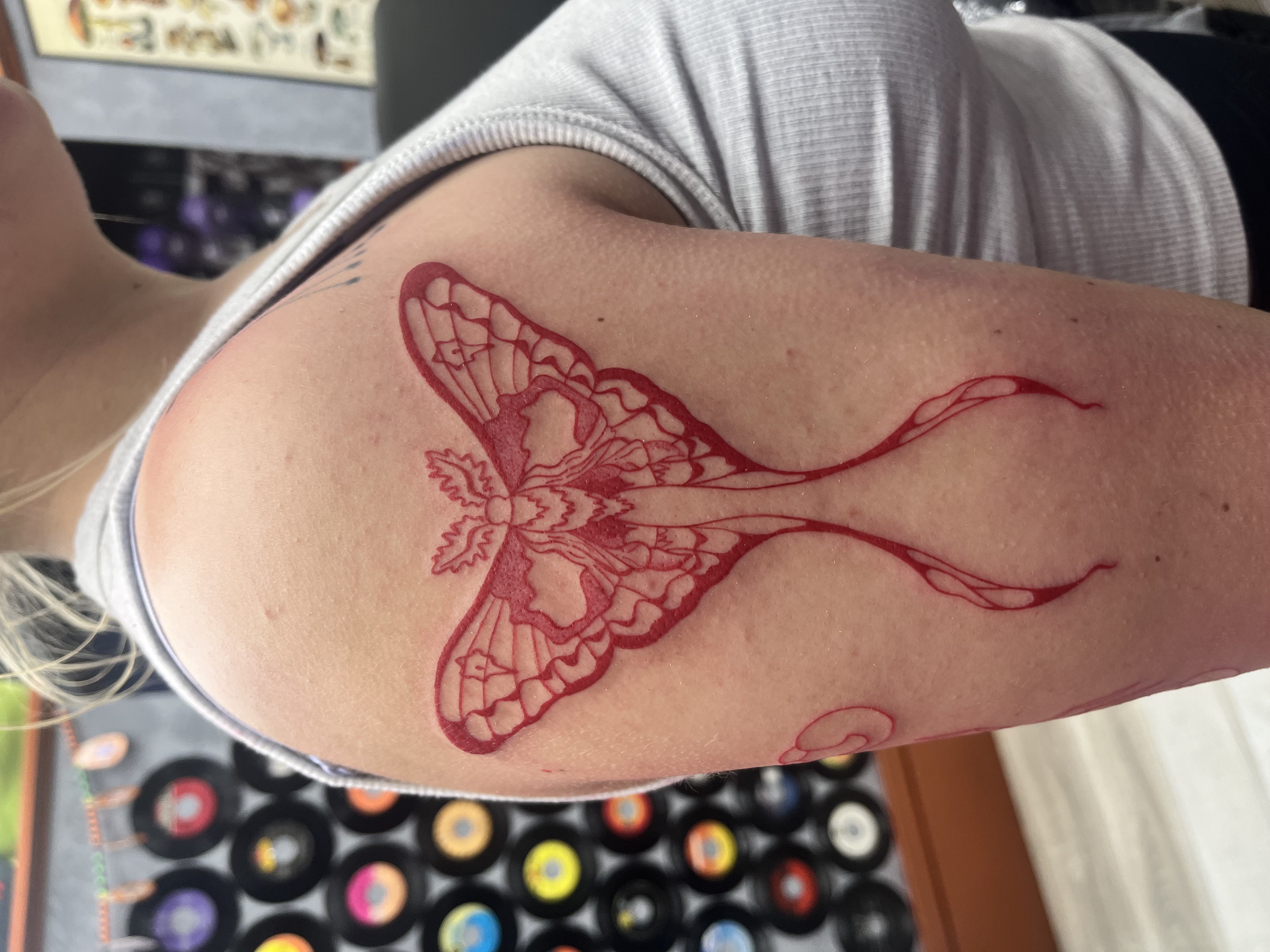 Bella Lagalo Traditional Tattoo Work - Professional Tattoo Artist at Magic Circle Tattoo Bay City MI